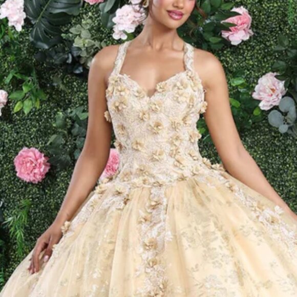 COPY - Formal Ball Gown.Prom Quinceanera Sweet 16 formal dress,gold,silver,pink - Picture 2 of 7